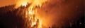 Closing the Gaps in Wildfire Risk