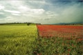 New Risks and a New Landscape Require a New Approach to Litigation Management 